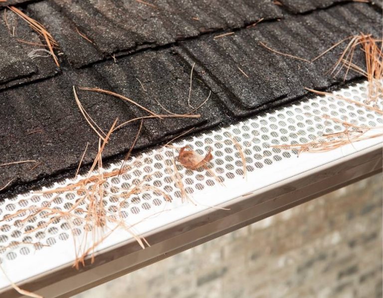 The Ultimate Guide to Choosing the Best Gutter Guards for Your Home